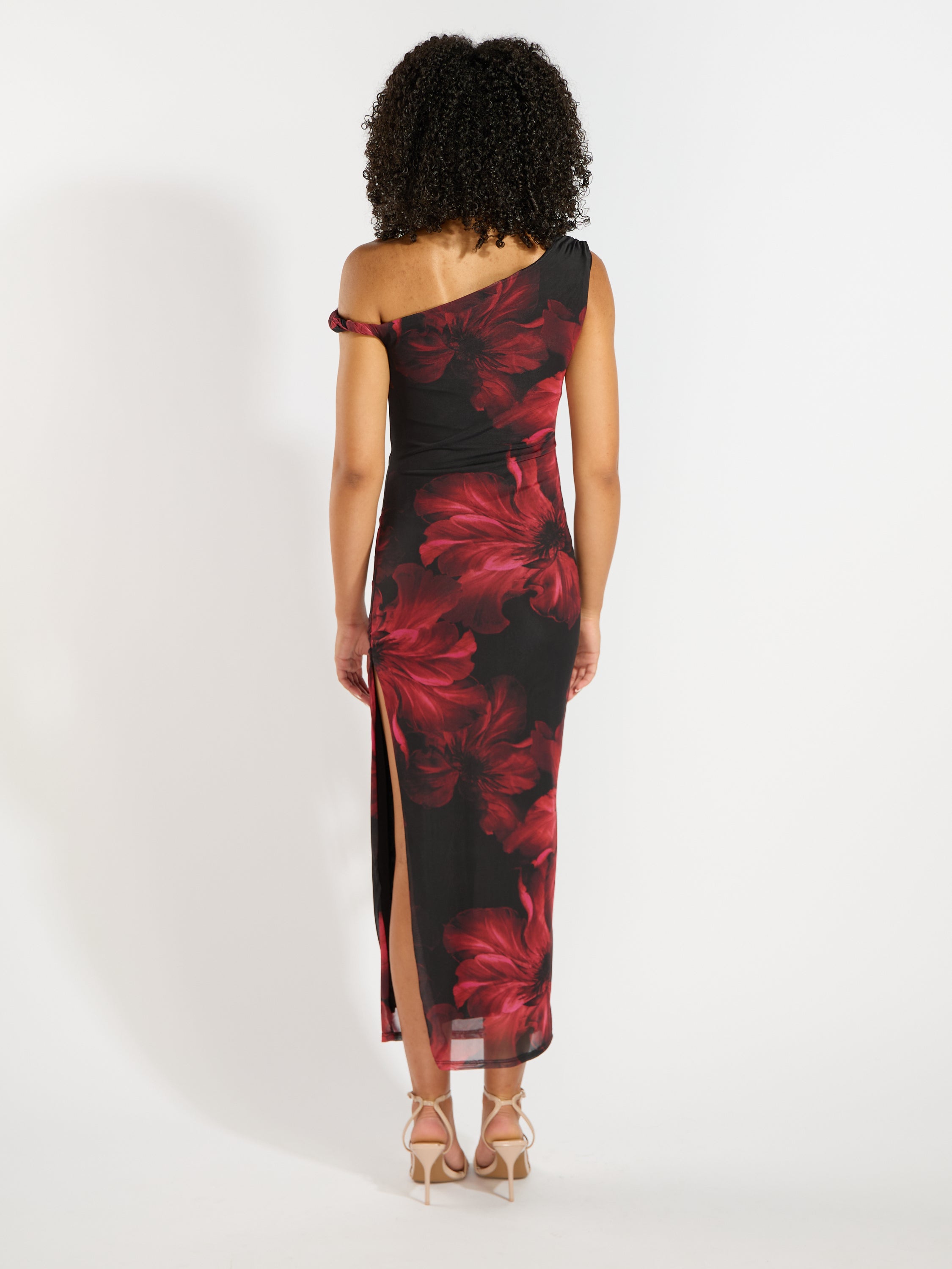 Veda Mesh Print Dress