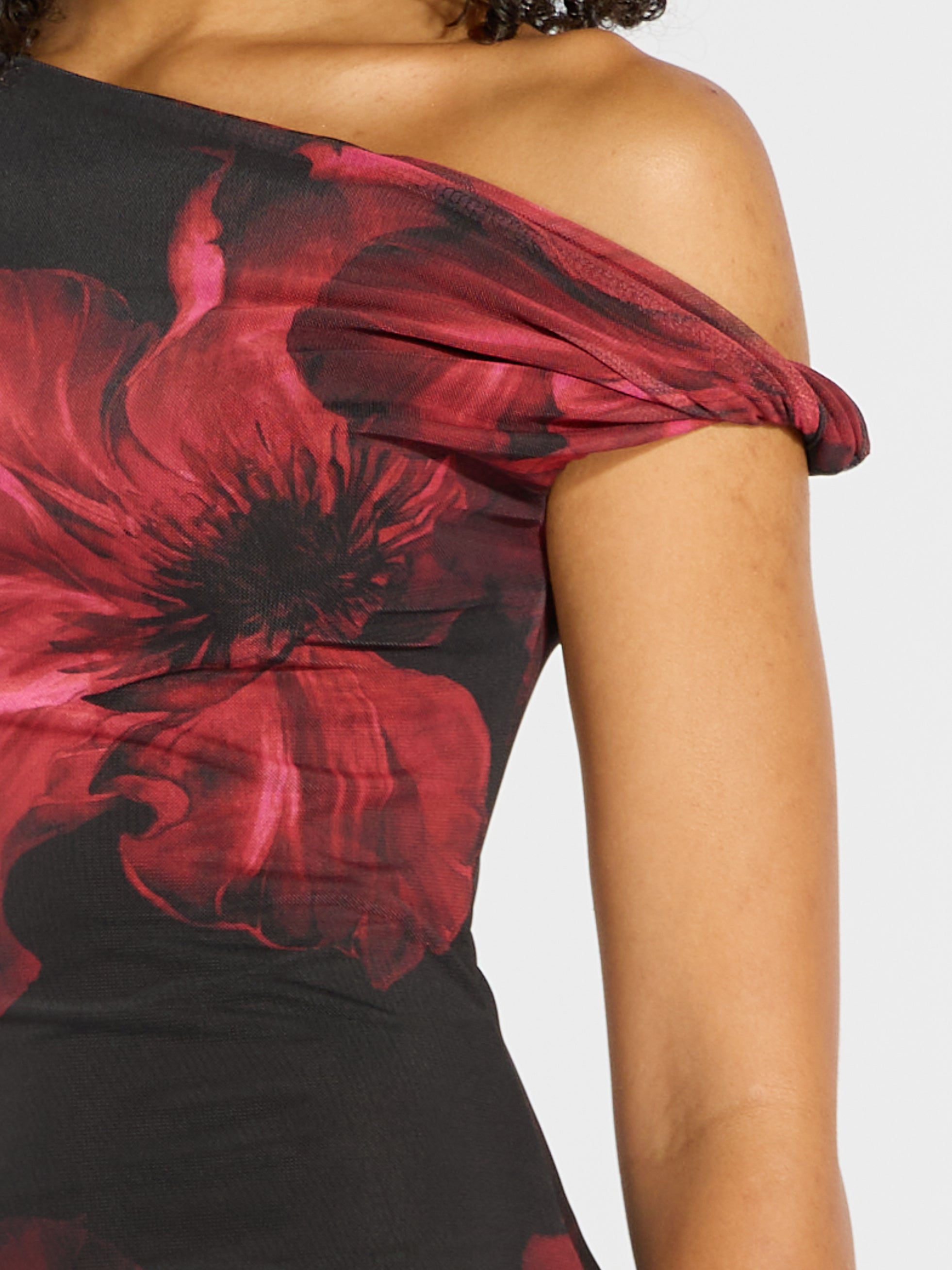 Veda Mesh Print Dress