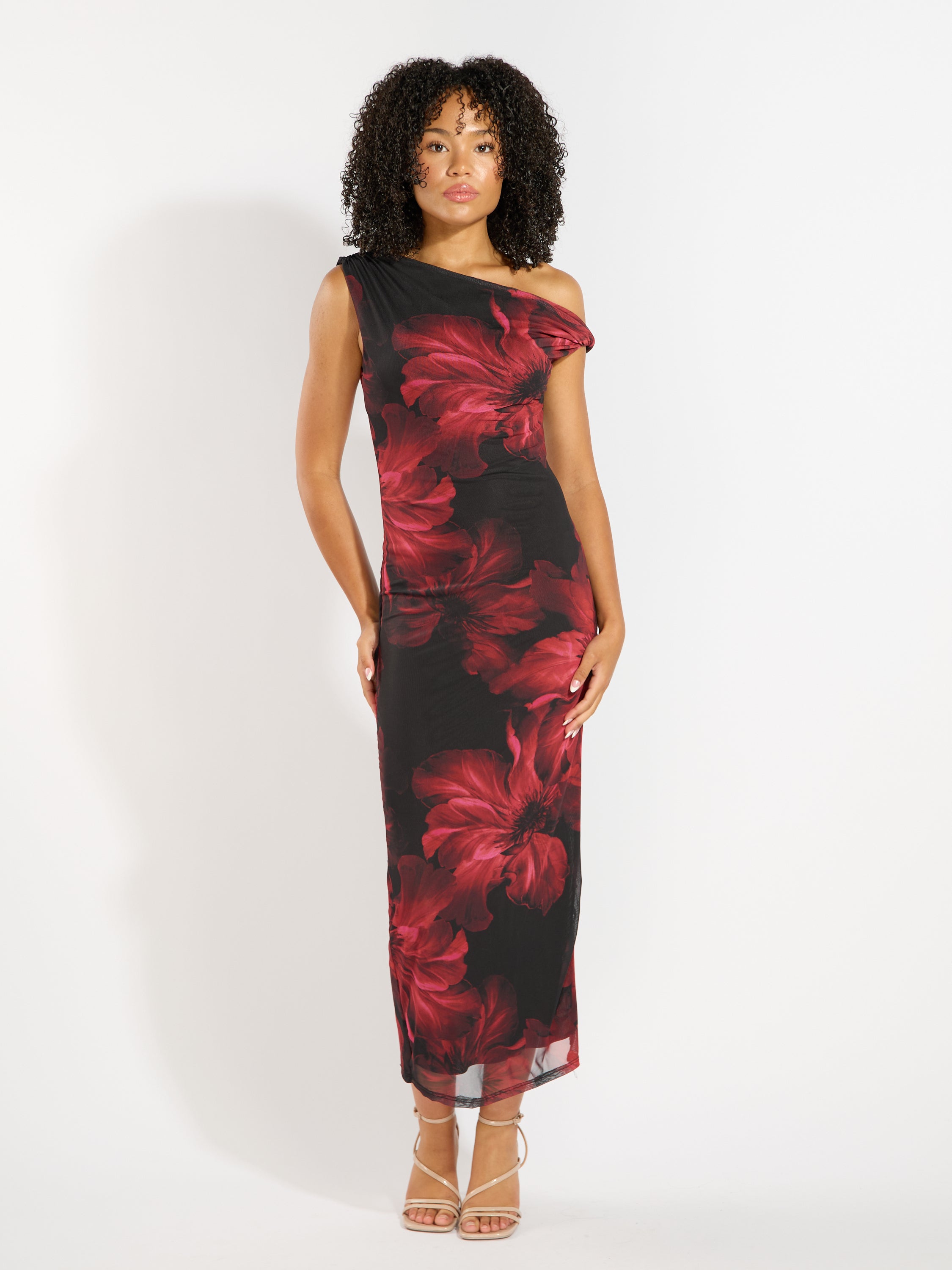 Veda Mesh Print Dress