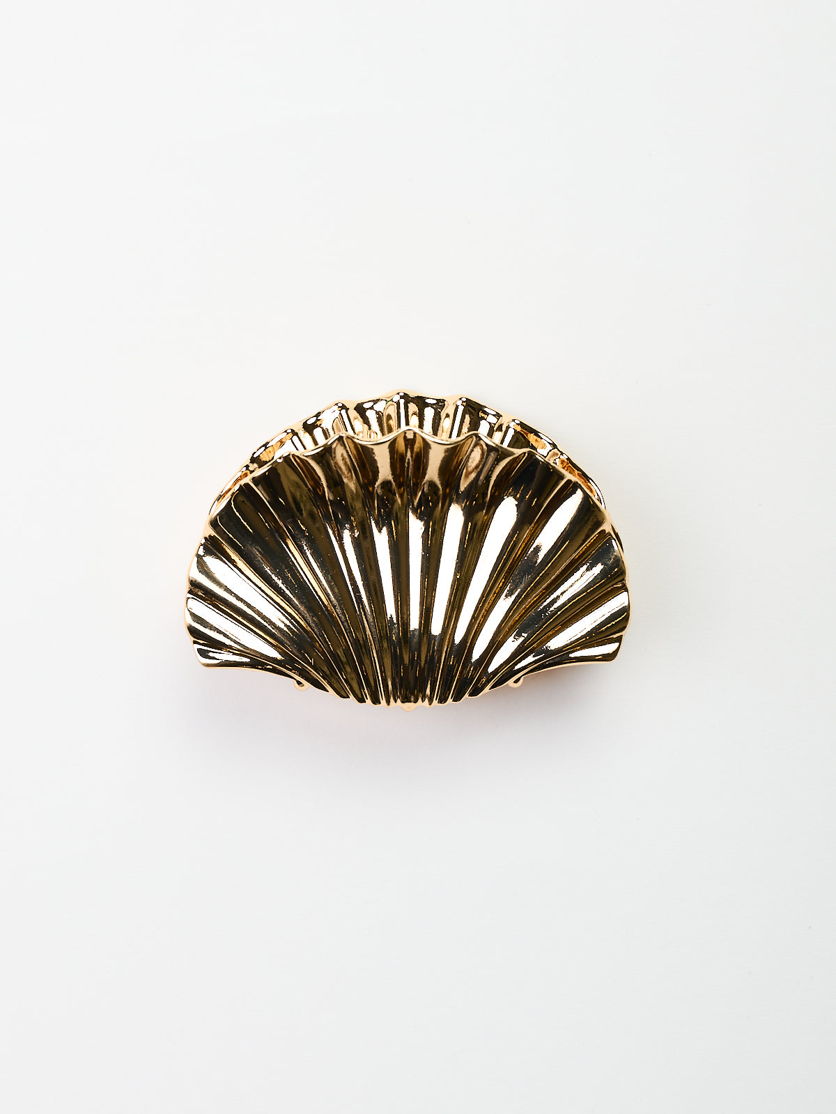 Glossy Shell Claw Clip