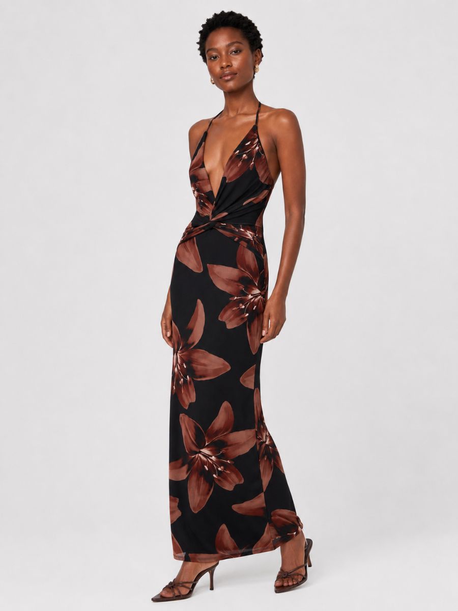 Dara Floral Mesh V-Neck Maxi Dress