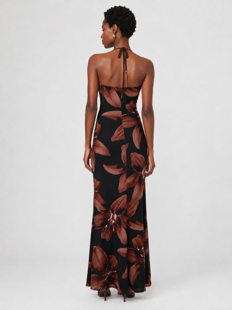 Dara Floral Mesh V-Neck Maxi Dress