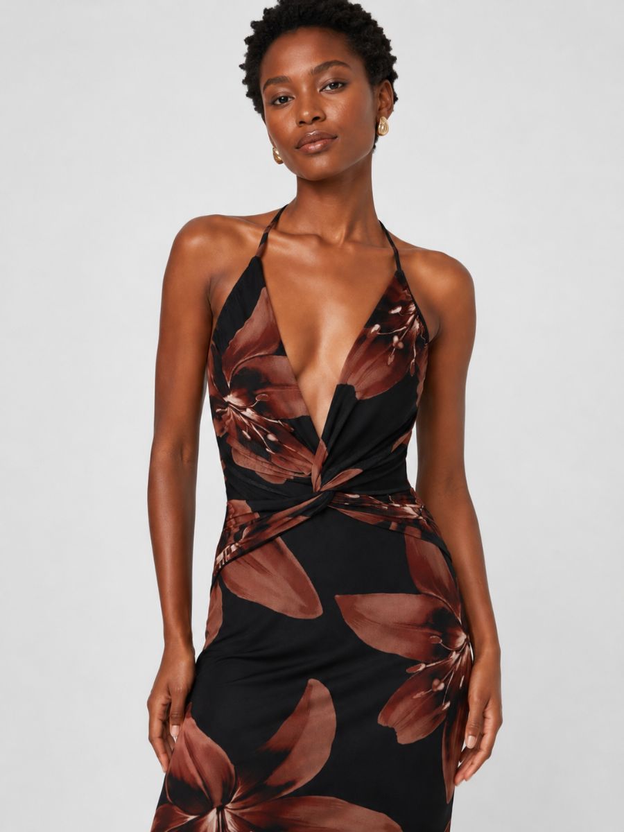Dara Floral Mesh V-Neck Maxi Dress