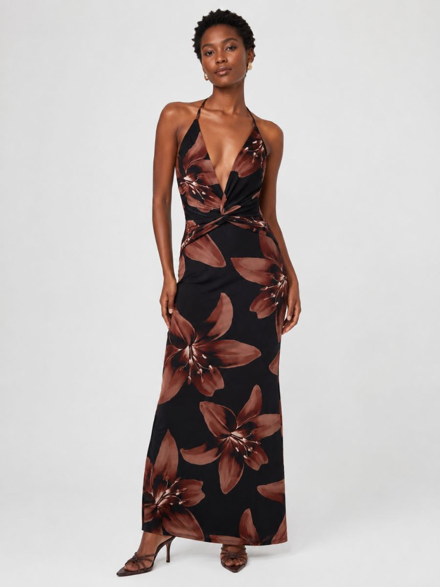 Dara Floral Mesh V-Neck Maxi Dress
