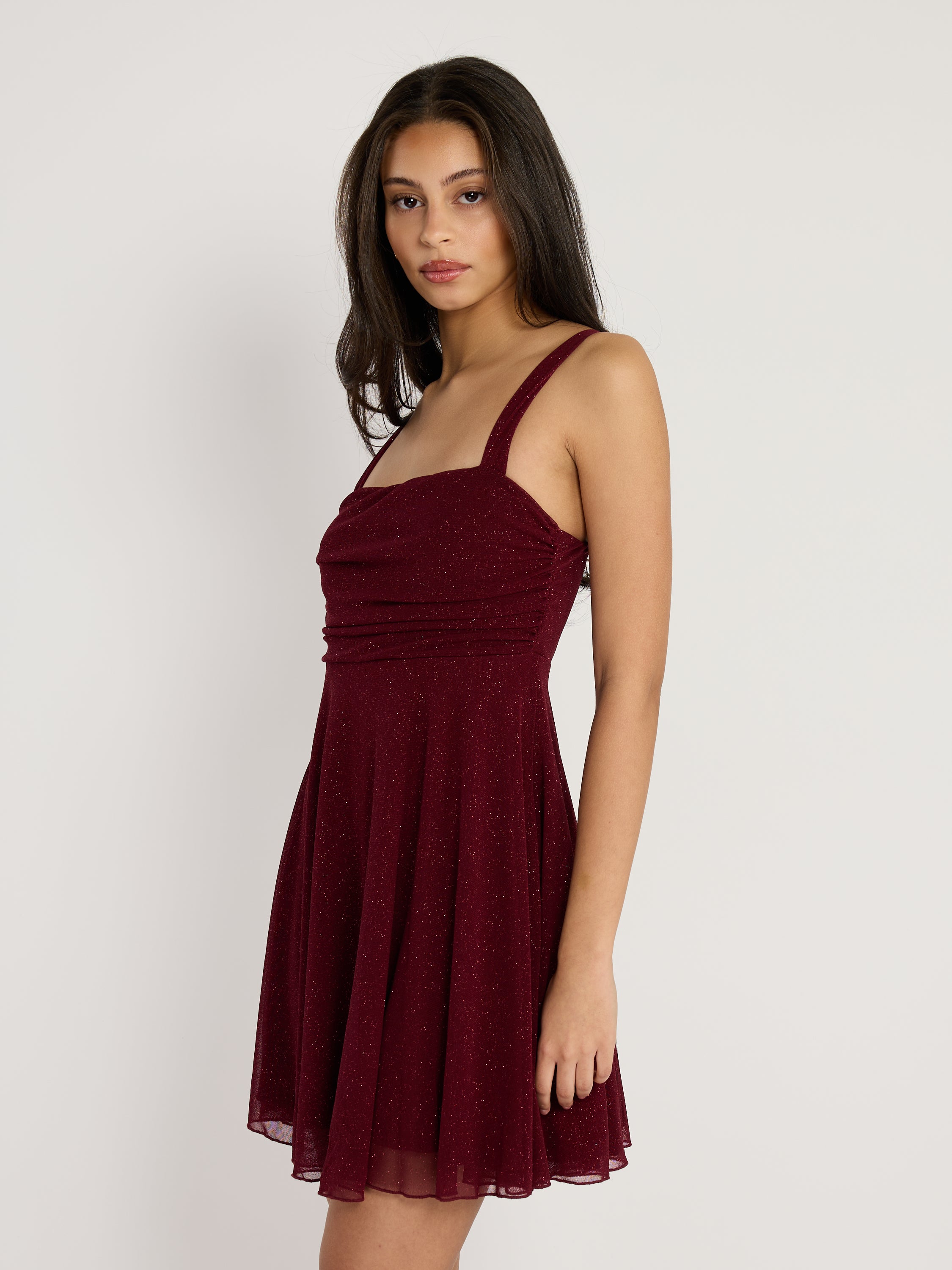 Mindy Glitter Mesh Fit & Flare Mini Dress