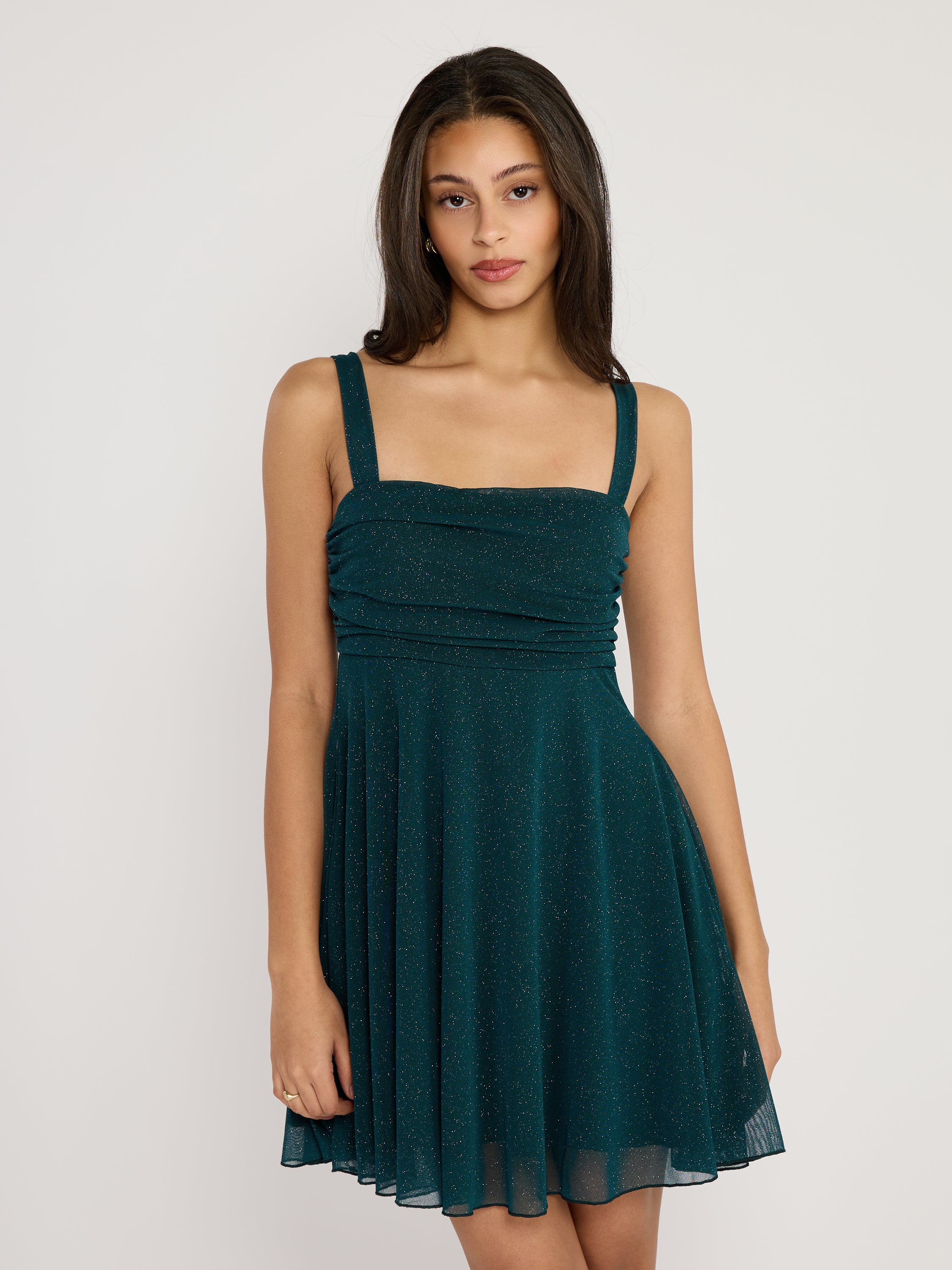 Mindy Glitter Mesh Fit & Flare Mini Dress