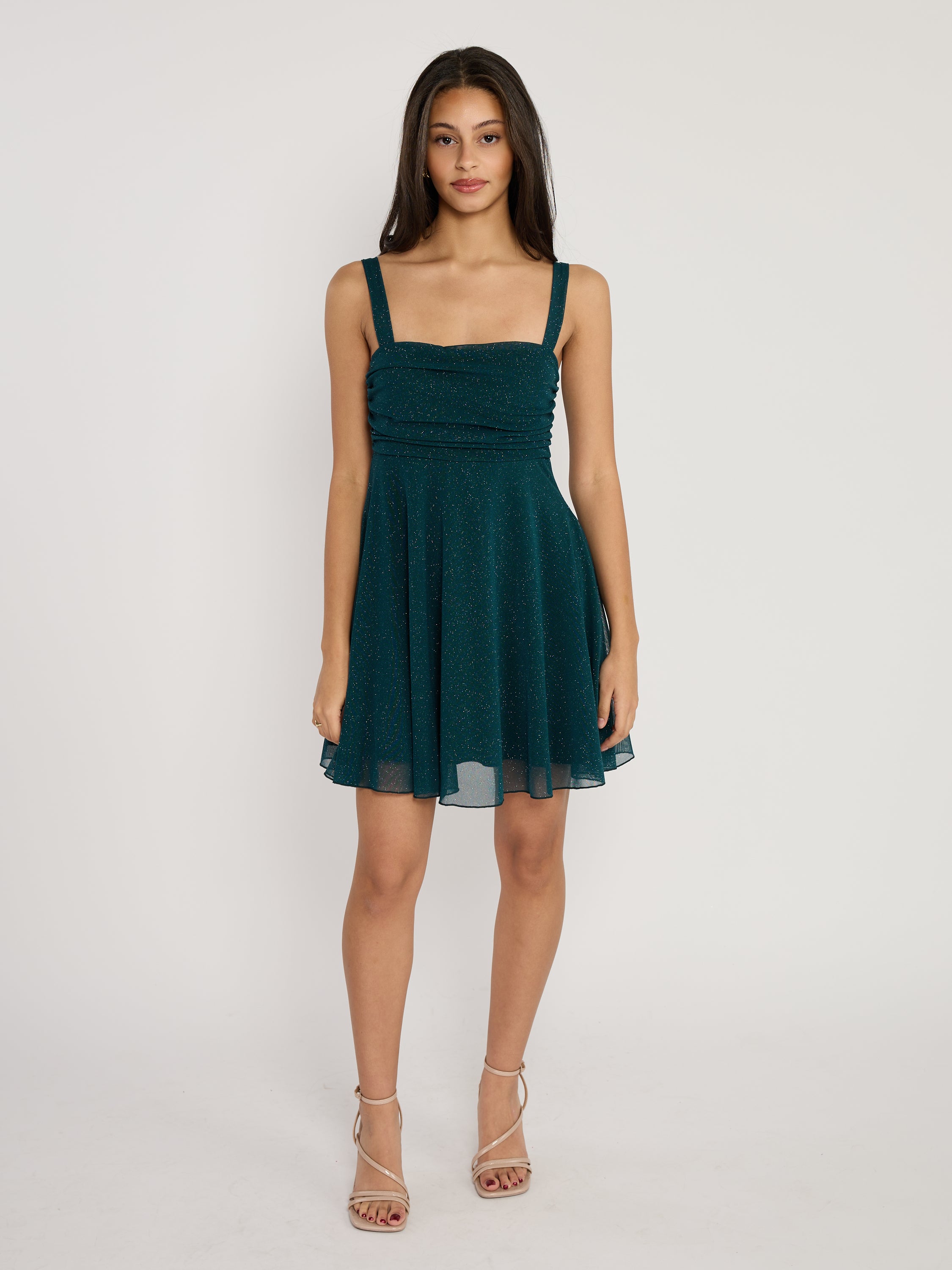 Mindy Glitter Mesh Fit & Flare Mini Dress