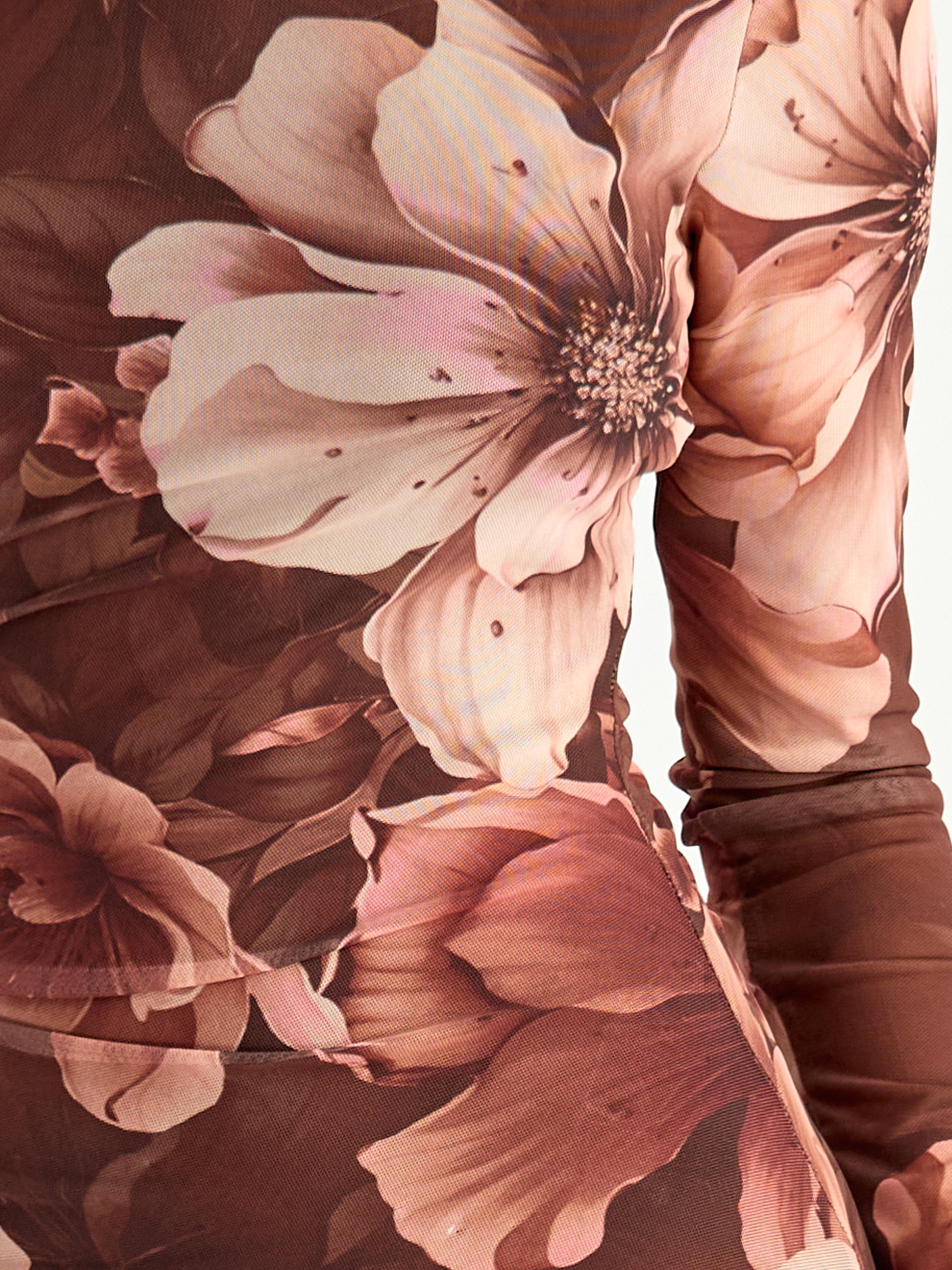 Free Long Sleeve Mesh Print Maxi Dress