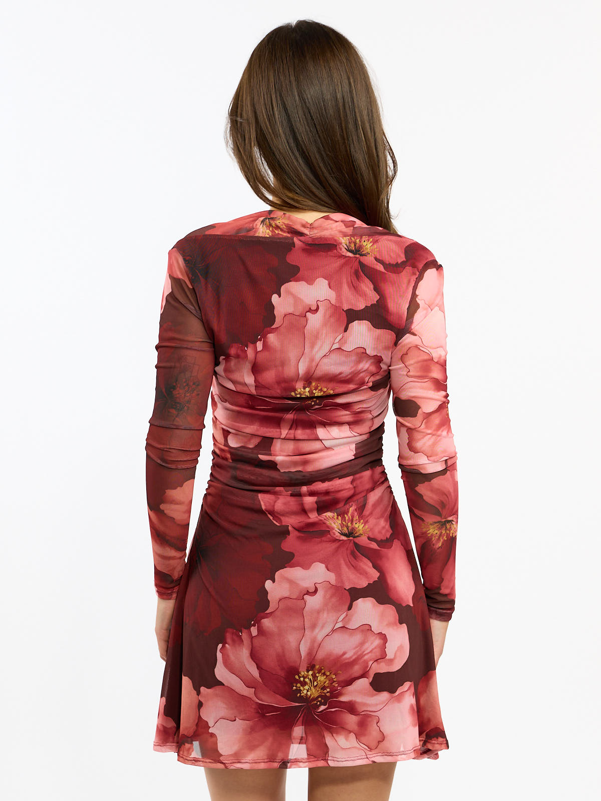 Arta Mesh Long Sleeve Mini Dress