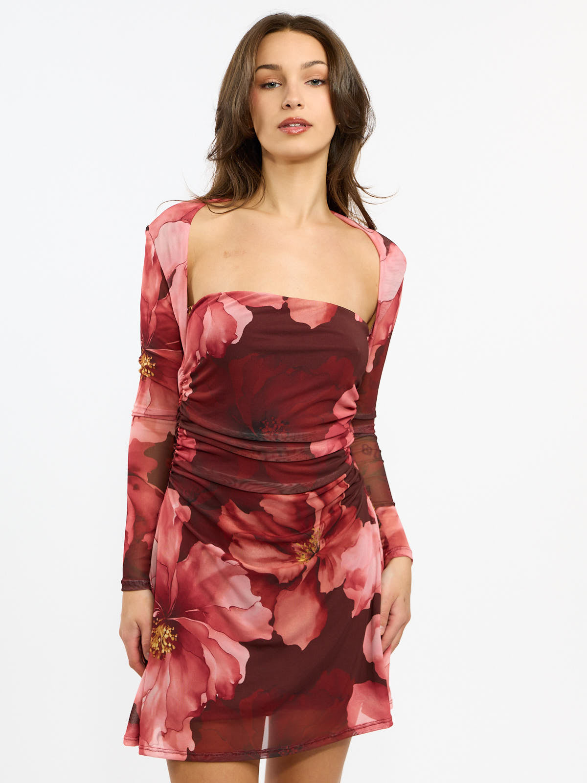 Arta Mesh Long Sleeve Mini Dress