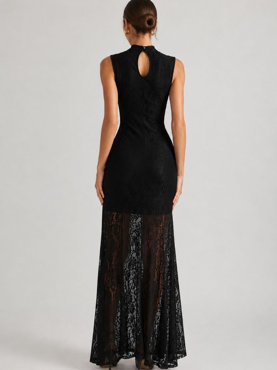 Alyn Mock Neck Lace Overlay Dress