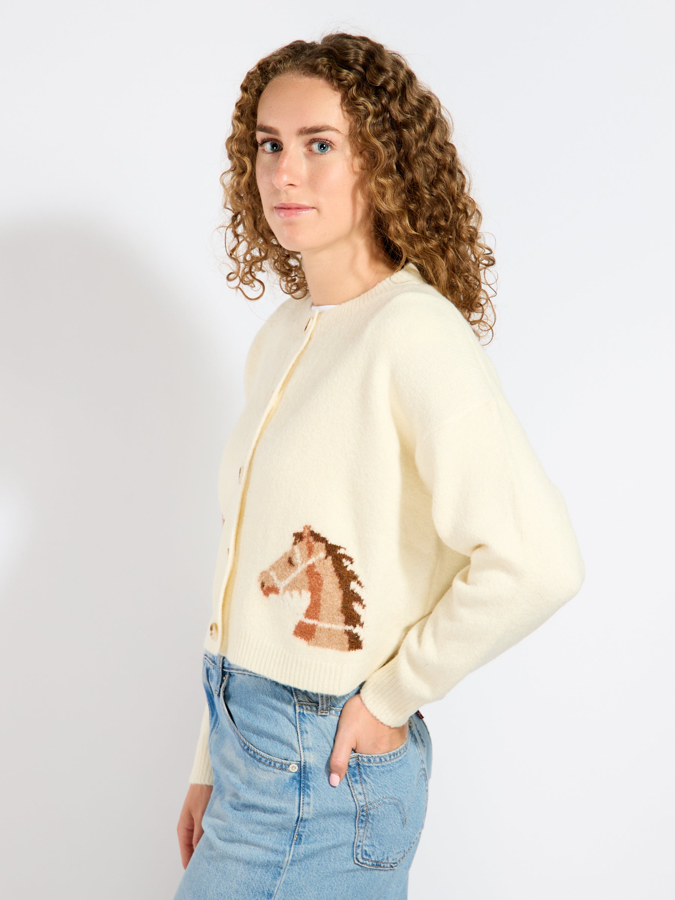 Horses Knit Cardigan