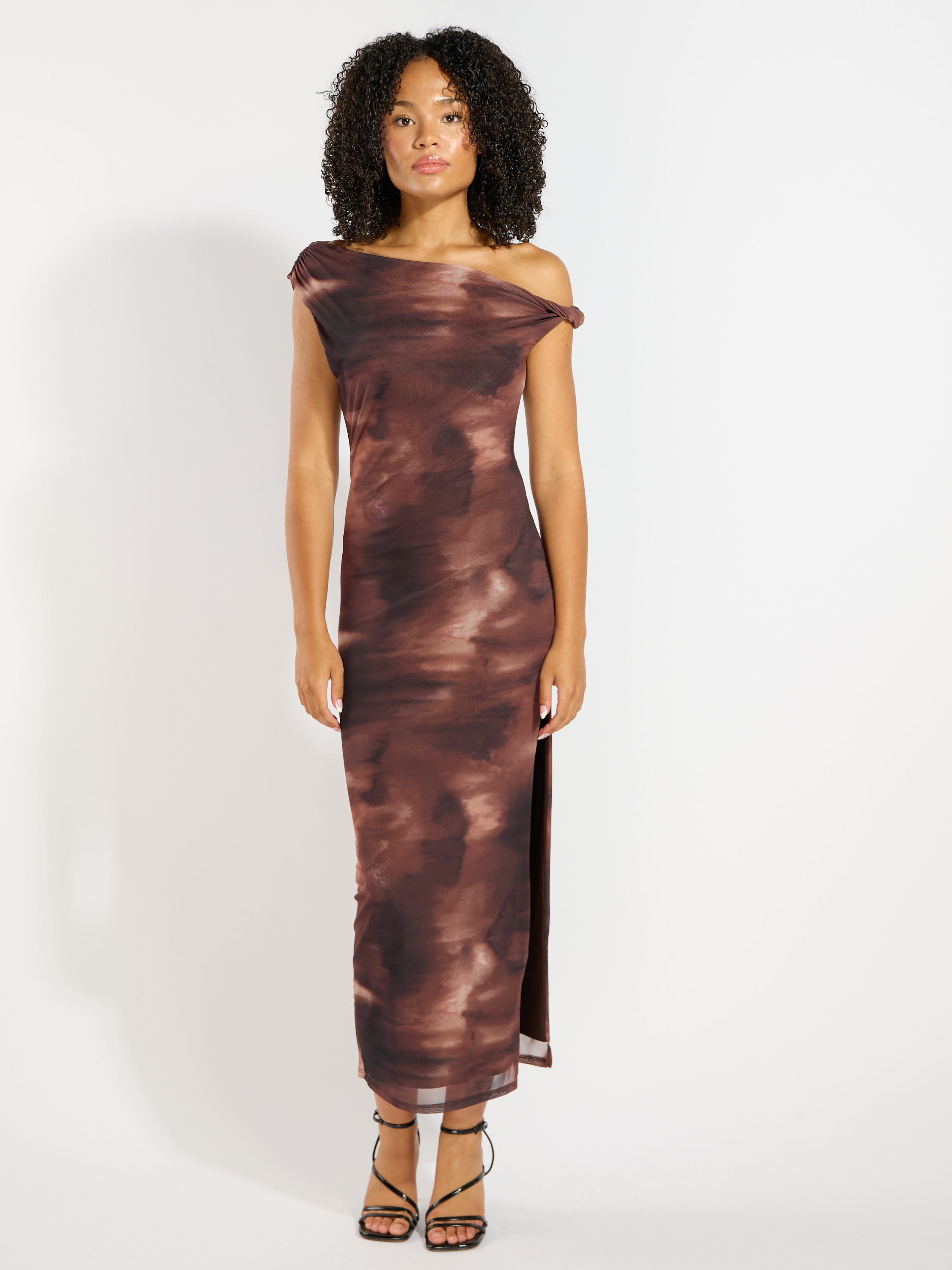 Veda Mesh Print Dress