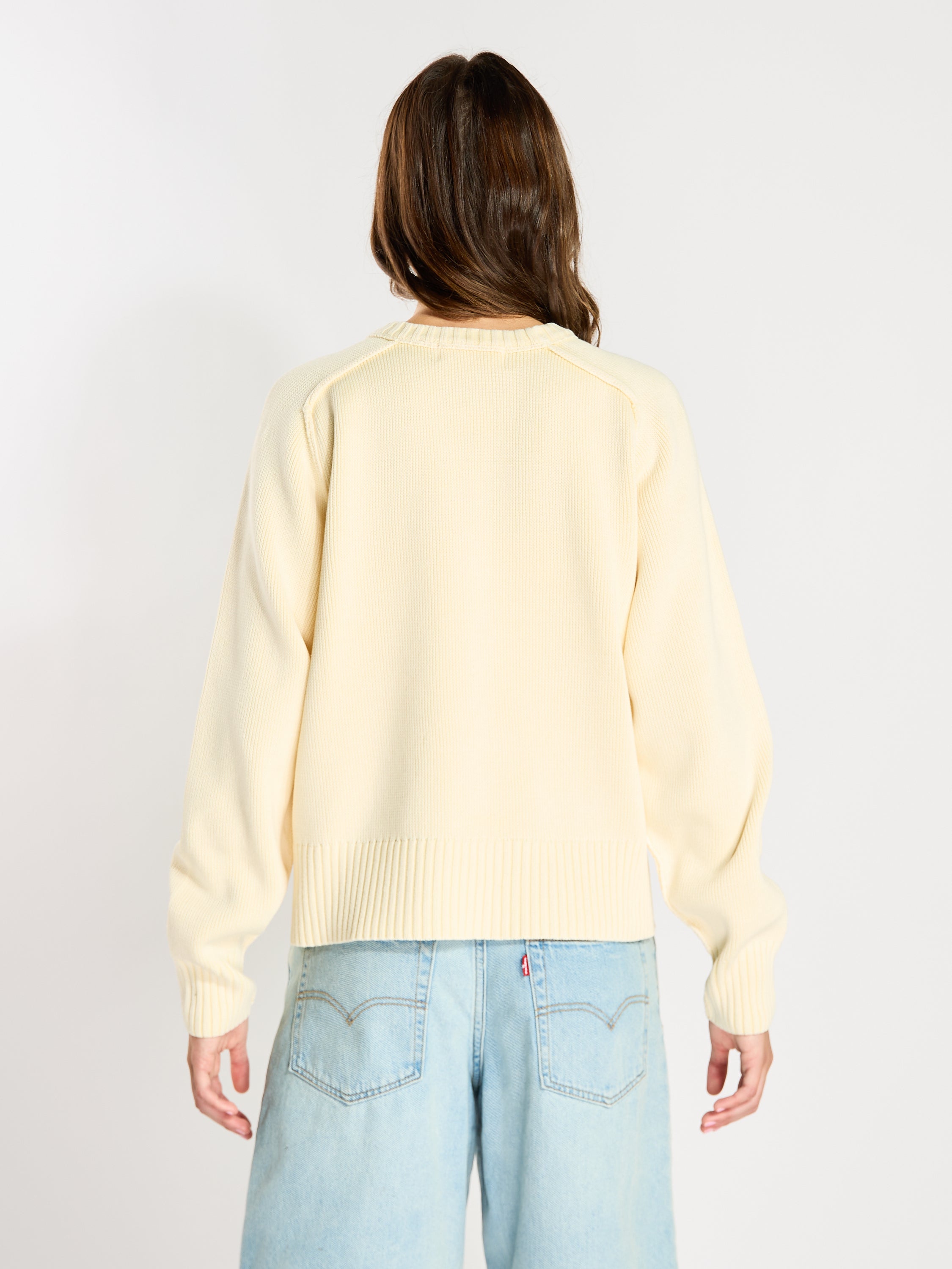 Free People Spring Street Pullover