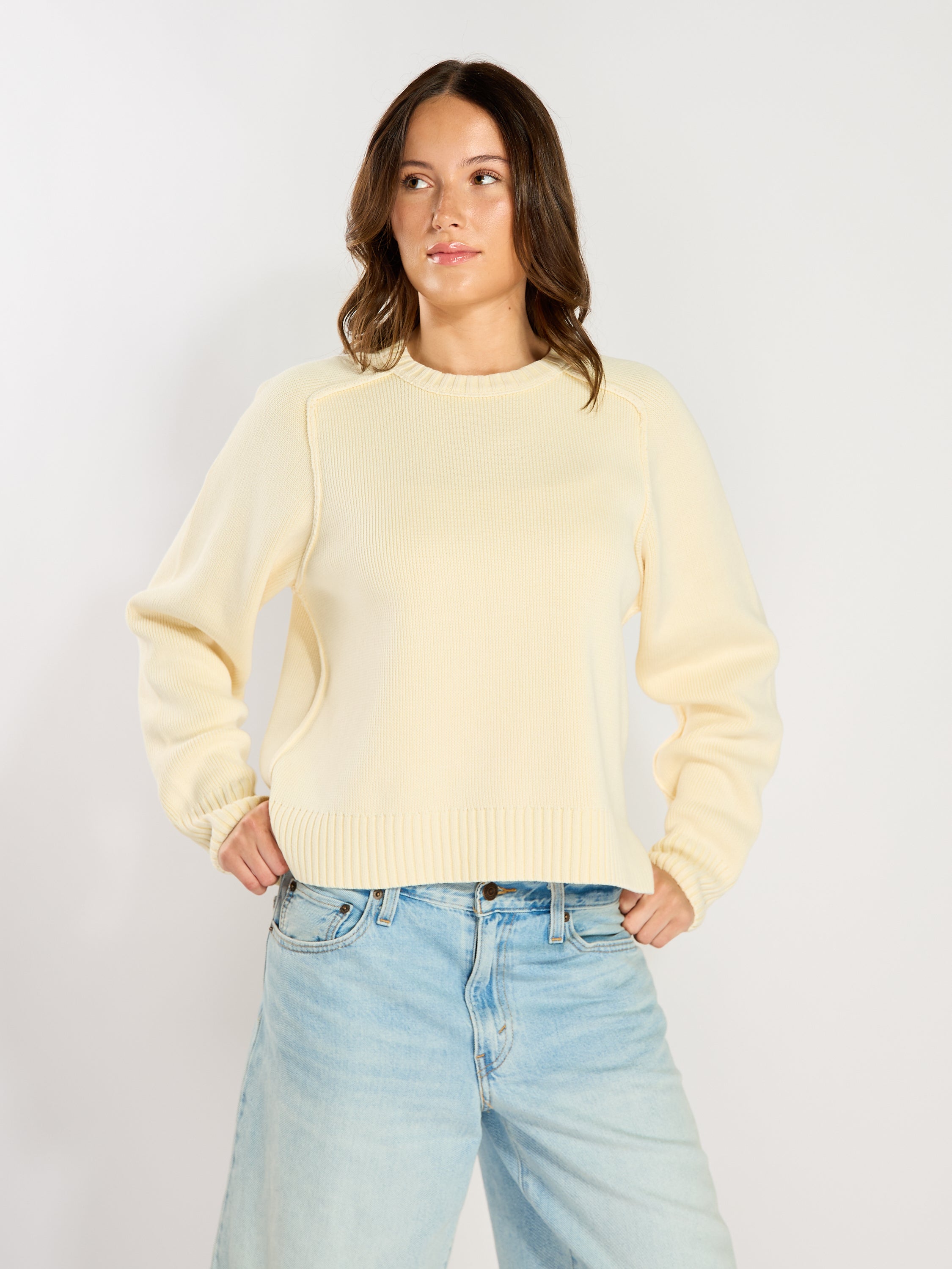 Free People Spring Street Pullover