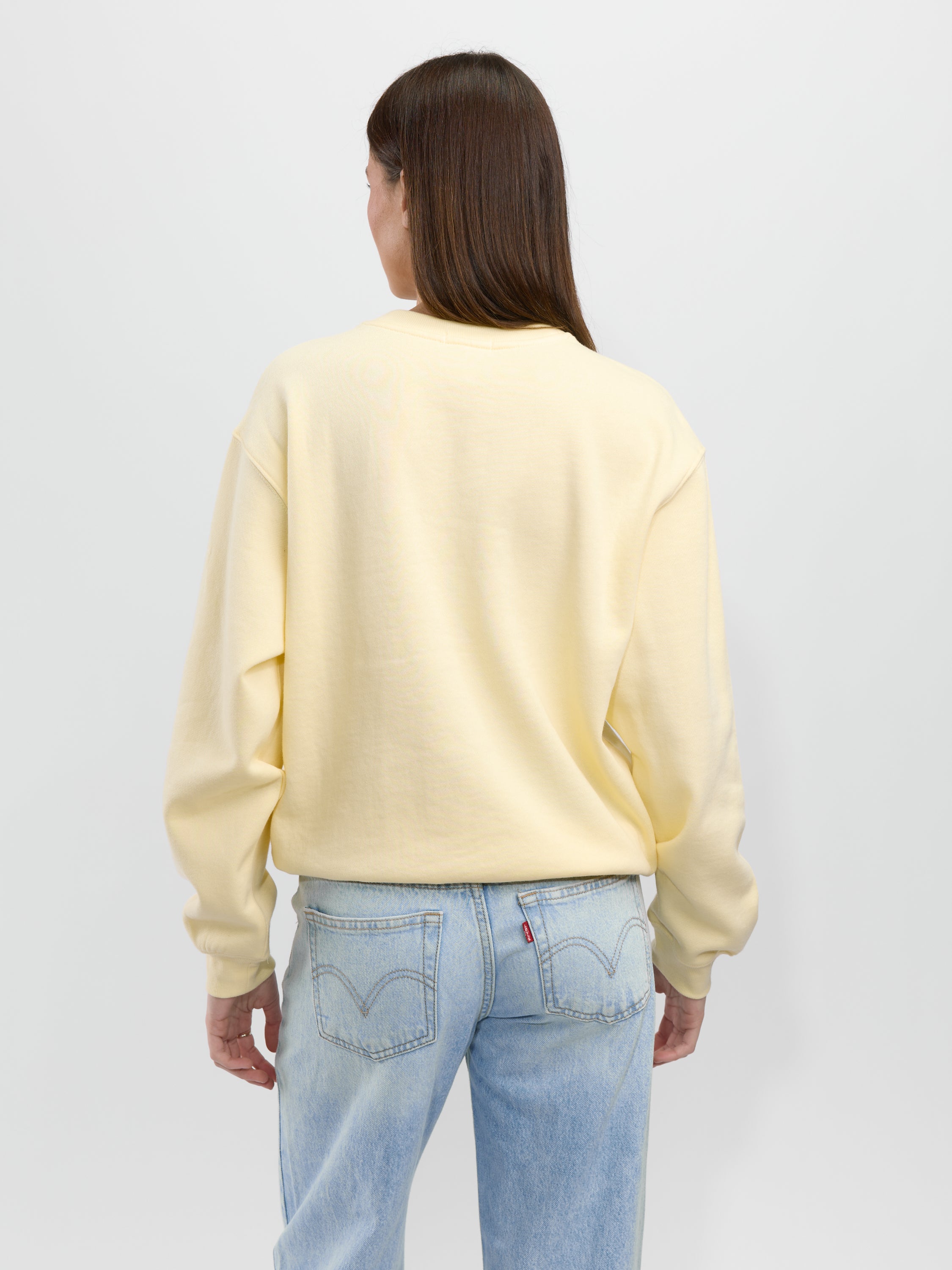 Z Supply Boyfriend Sweatshirt