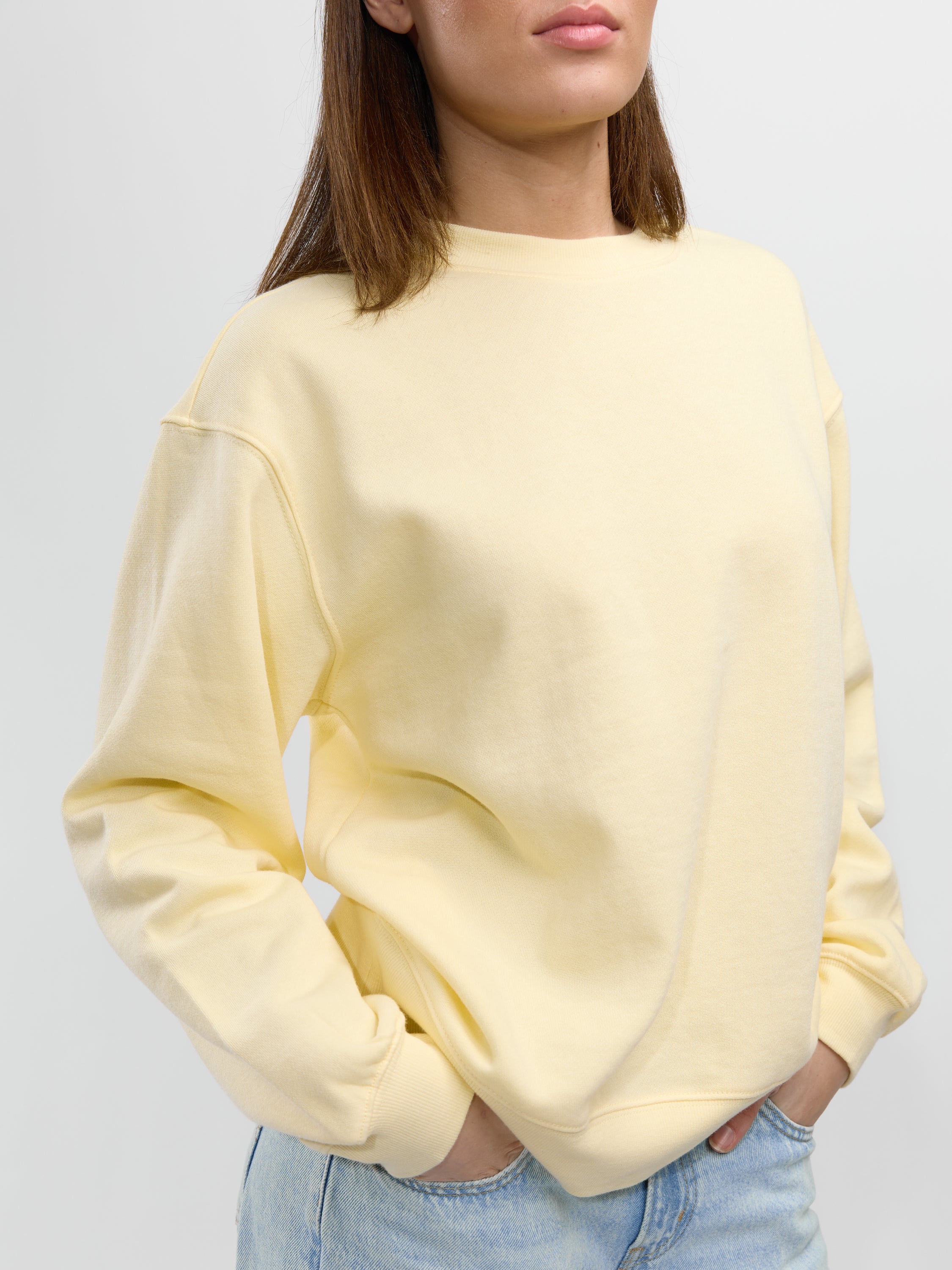 Z Supply Boyfriend Sweatshirt