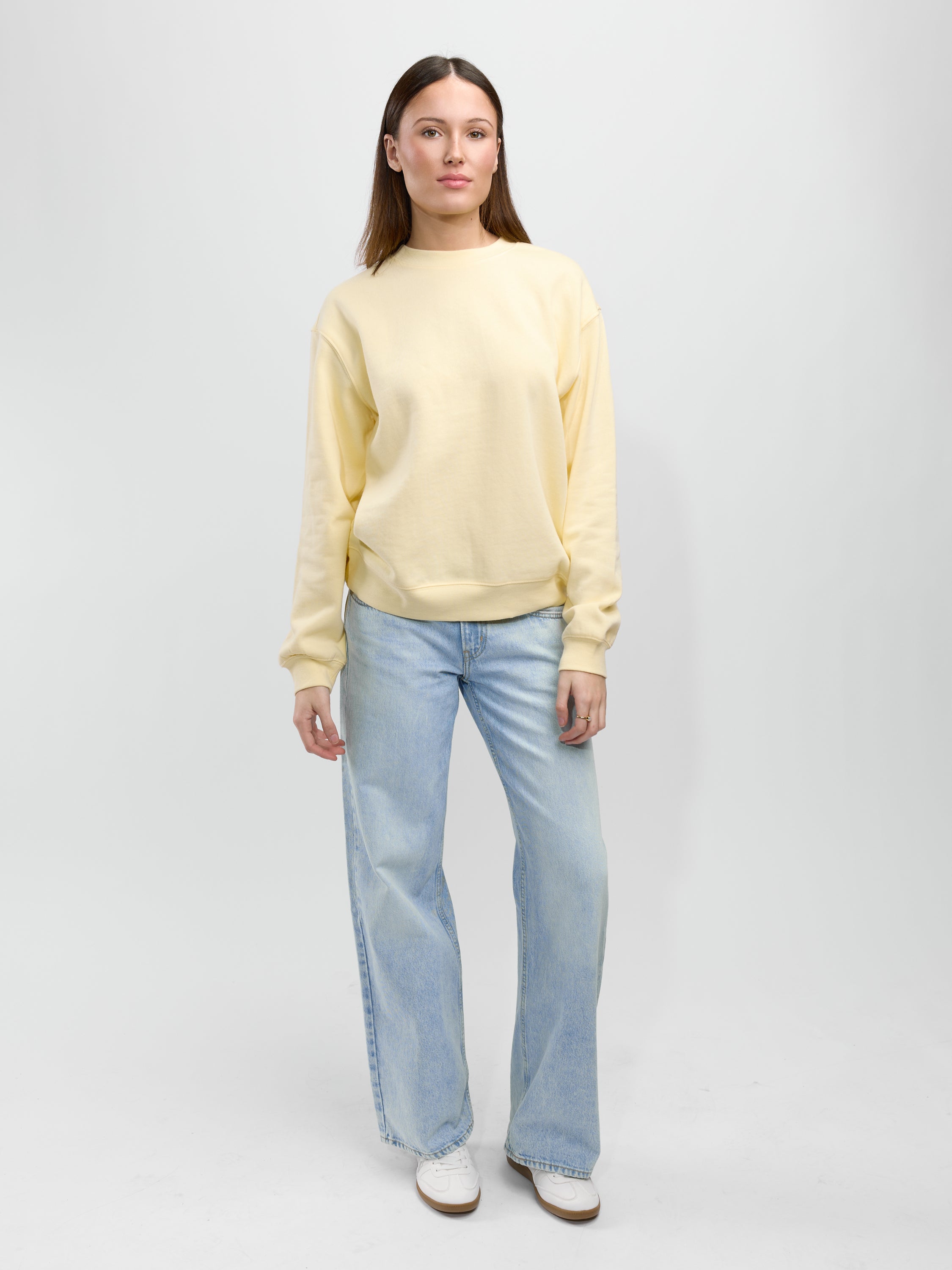 Z Supply Boyfriend Sweatshirt