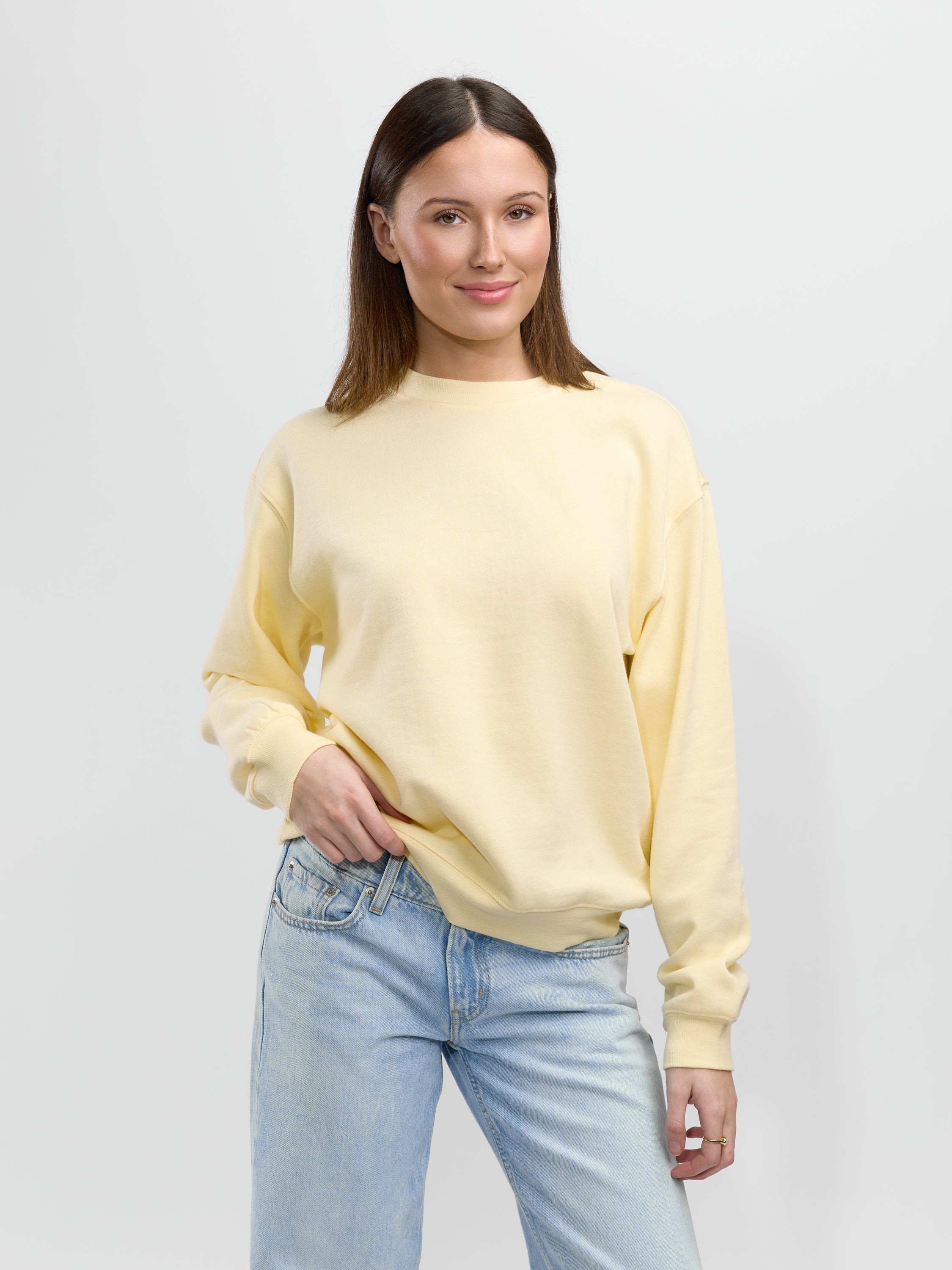 Z Supply Boyfriend Sweatshirt